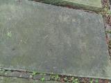 image of grave number 810530